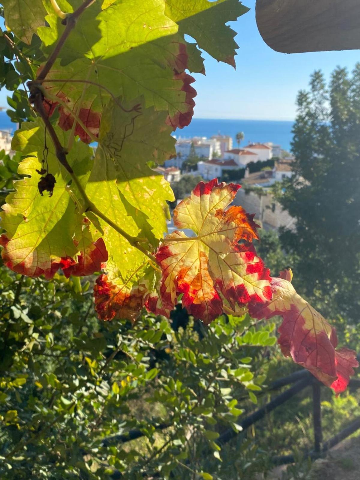 Boutique Hotel Las Islas (Adults Only) Fuengirola Εξωτερικό φωτογραφία